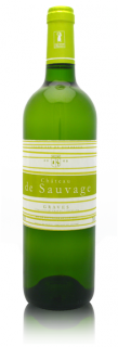 CHATEAU de SAUVAGE